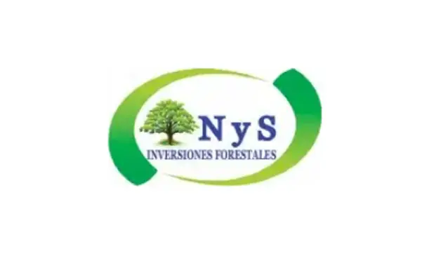 N Y S